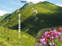 憧れの穂高連峰の稜線に立つ～西穂高丸山