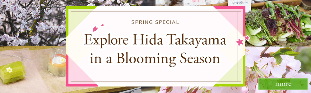 Explore Hida Takayama in Blooming Season
