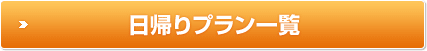 日帰りプラン一覧