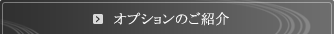 オプションのご紹介