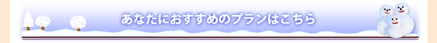 そんなあなたにおすすめのプランはこちら