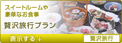 <06>贅沢旅行プラン