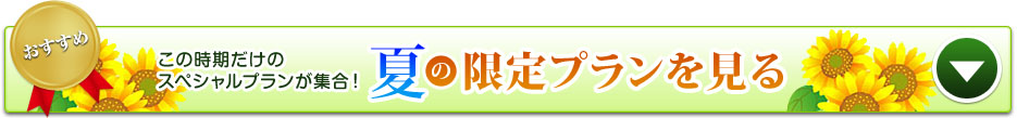 <12>限定プラン