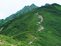 ベテラン山岳ガイドと山歩き!西穂高丸山トレッキングツアー