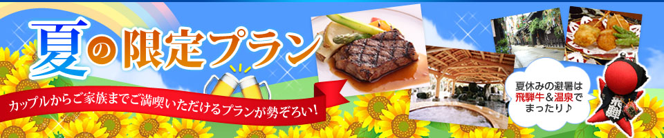 <12>限定プラン