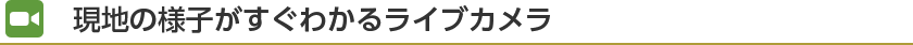 ライブカメラで今日の高山をチェック