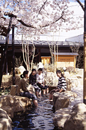 さくらの足湯1
