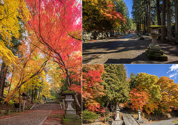 秋の日枝神社境内の様子