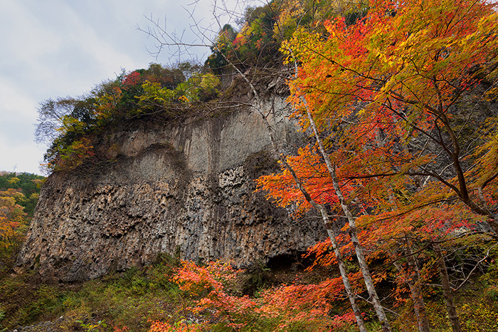 上：溶岩が冷えて固まるときにできた柱状節理の大岩壁　高さ72m・幅120m　岐阜県指定天然記念物
