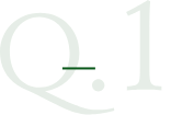 q-1