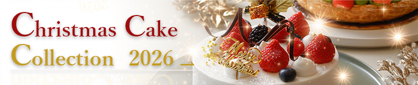 Christmas Cake