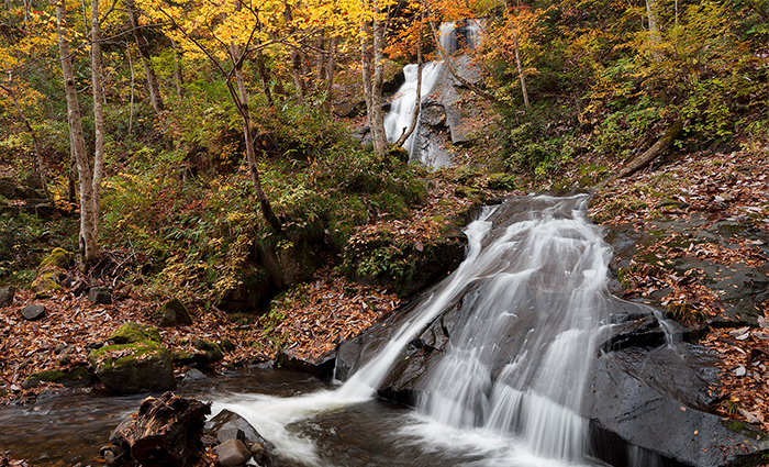 Hida Fall Leaves (Takayama Neighborhoods)