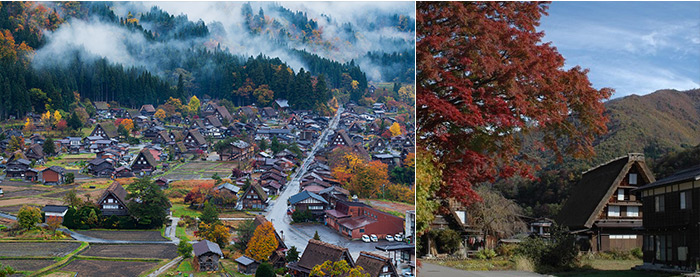  Above left: The view from the observation deck Above right: A photo taken casually while strolling