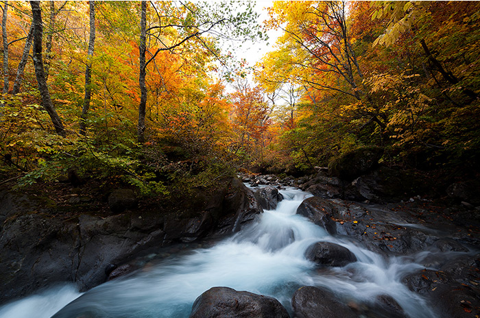 Above: Koshiramizutani which has the beautiful contrast between blue water and red leaves   