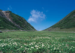 Mt.Norikuradake(Tatamidaira)