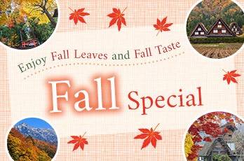 Fall Special Places to See in Hida Takayama