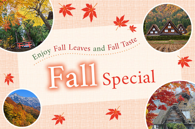 Enjoy Fall Leaves and Fall Taste Fall Special