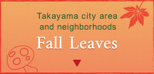 Takayama city area and neighborhoods Fall Leaves