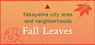 Takayama city area and neighborhoods Fall Leaves