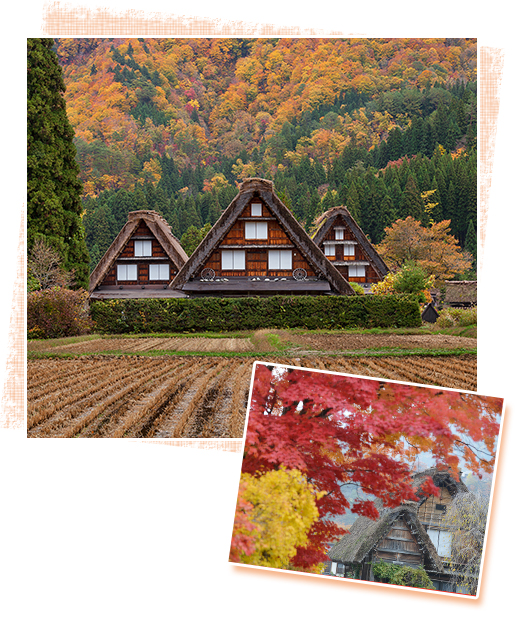 Shirakawago best shot points