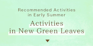 Activities in New Green Leaves
