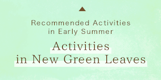 Activities in New Green Leaves