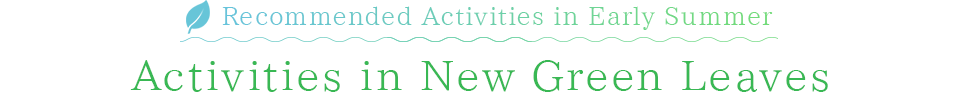 Activities in New Green Leaves