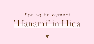 Spring Enjoyment Hanami in Hida
