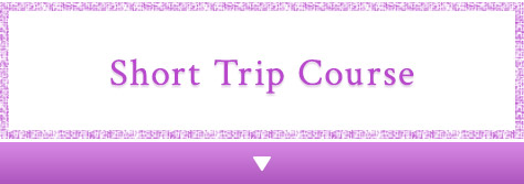 Short Trip Course