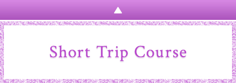 Short Trip Course