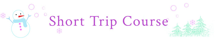 Short Trip Course