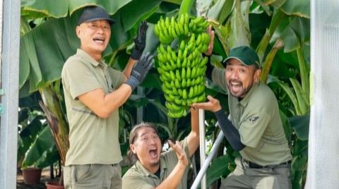 希少!岐阜県産バナナ試食販売会