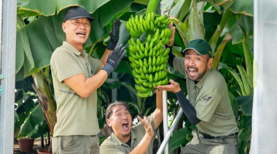 希少!岐阜県産バナナ試食販売会