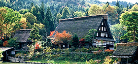 オプション観光プラン