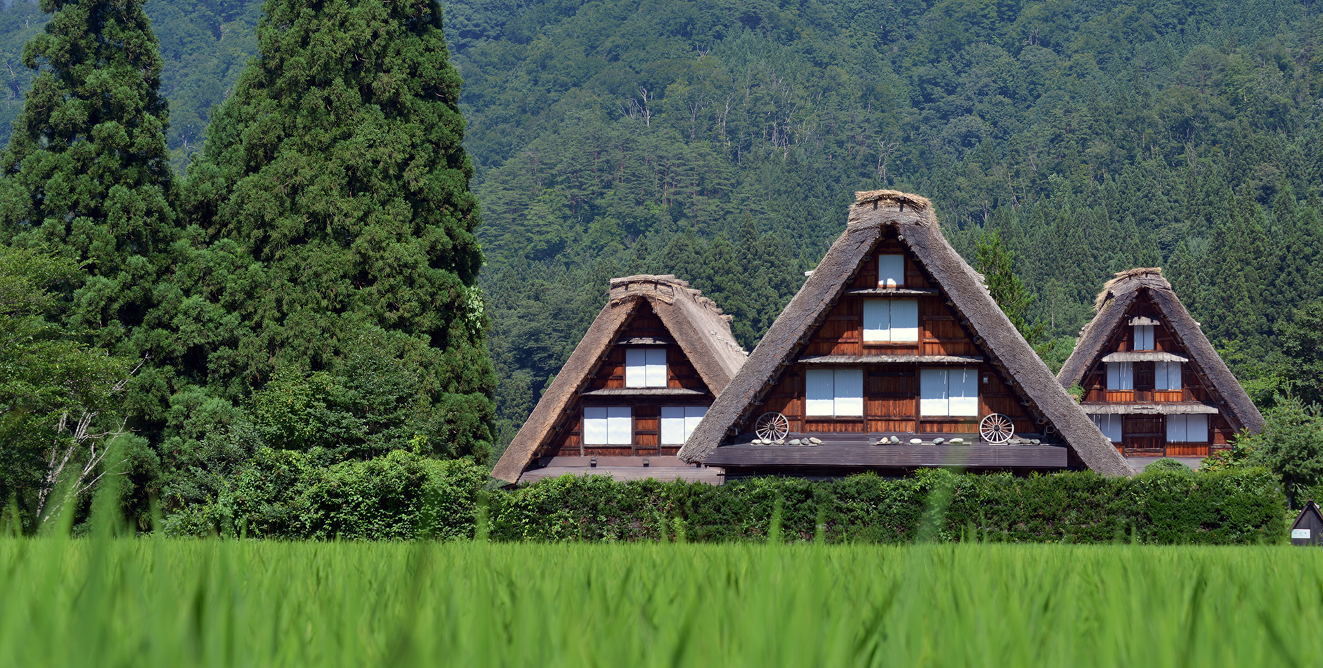 白川郷