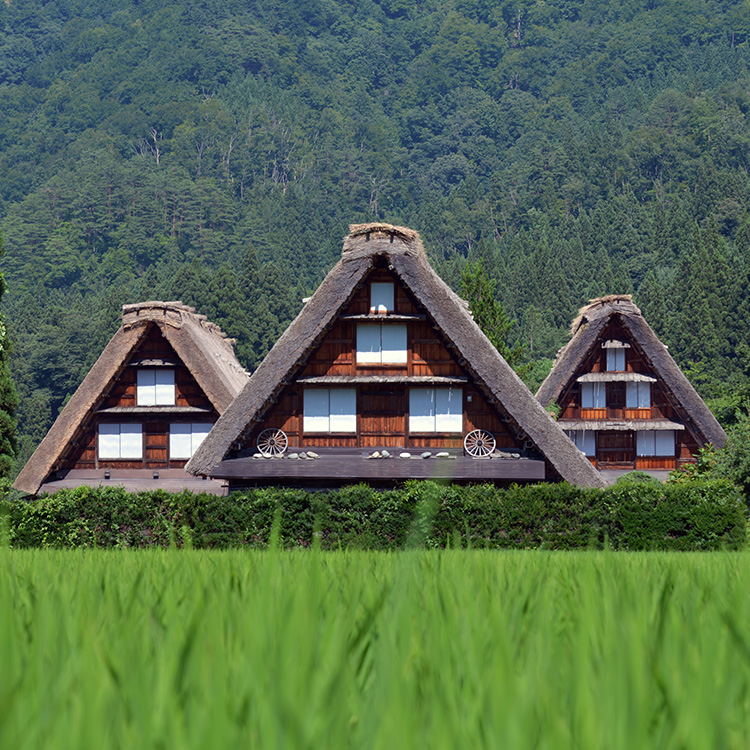 白川郷