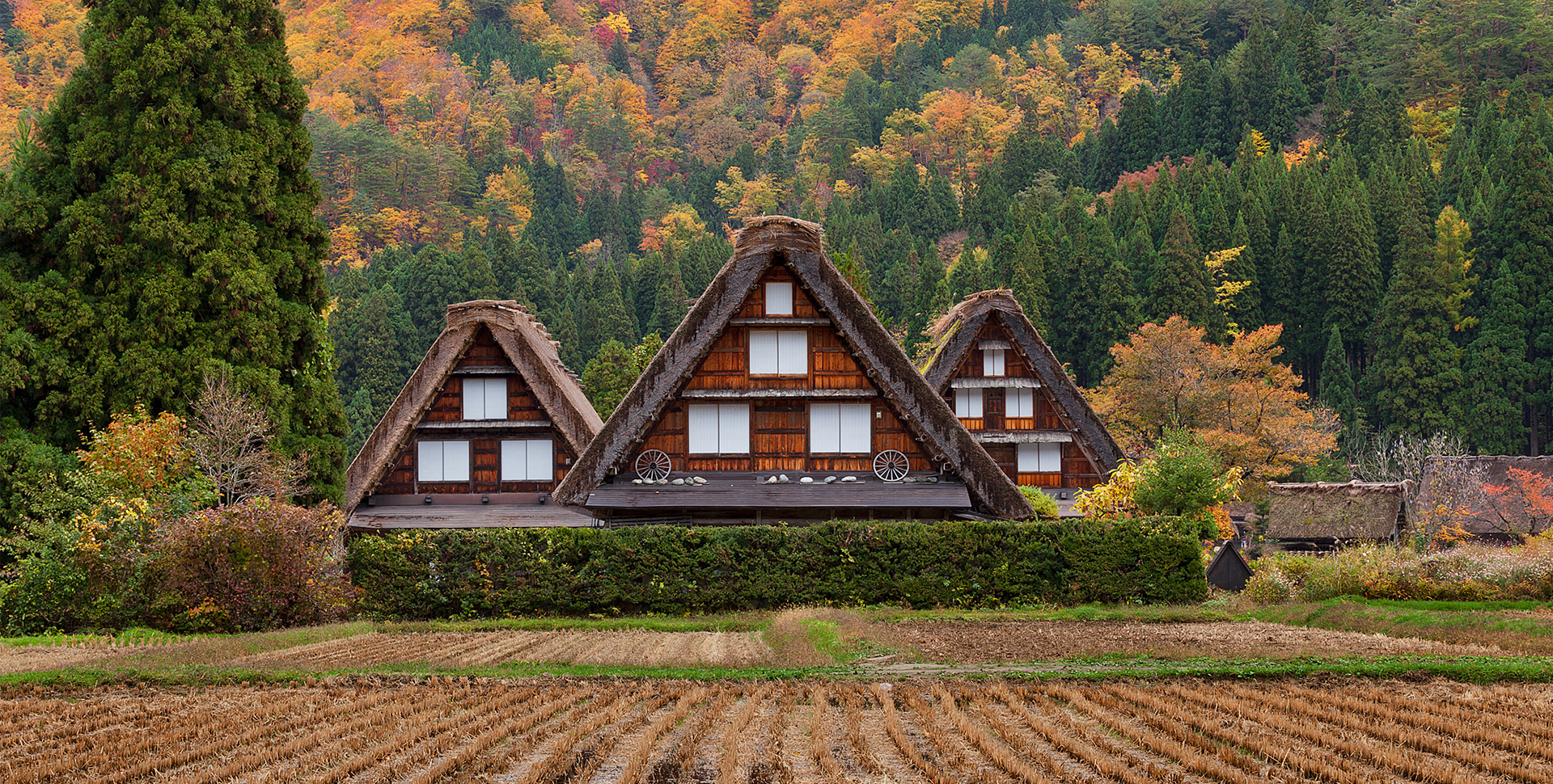 白川郷