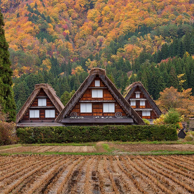 白川郷