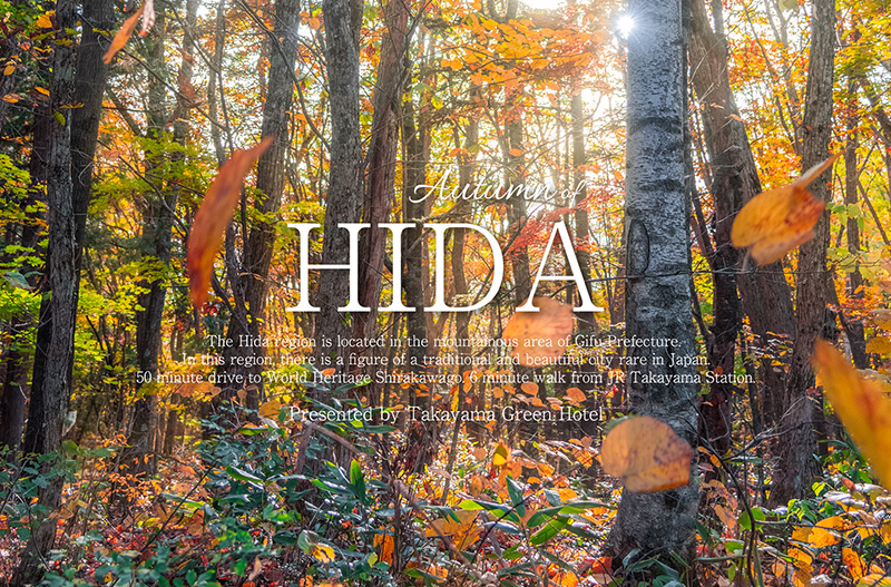 Autumn HIDA