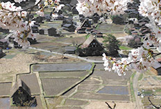 Tenshukaku Observation Deck