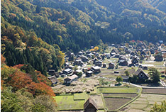 Tenshukaku Observation Deck