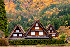 Triplets Gassho Zukuri