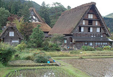 Myozenji Temple Side Street