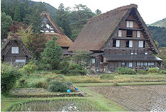 明善寺横小路