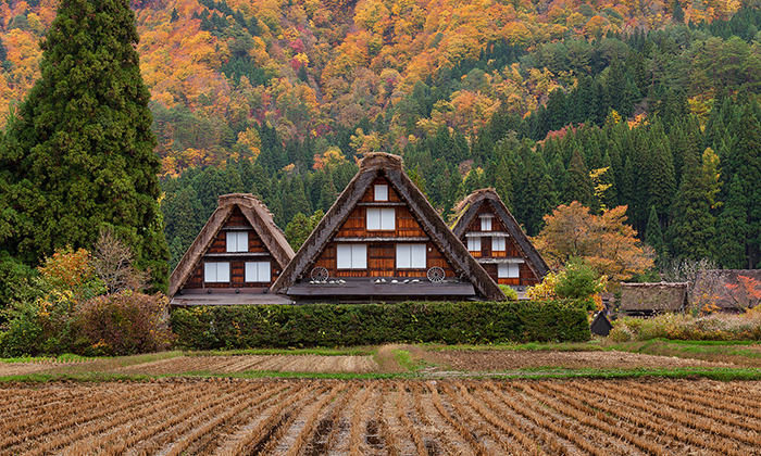 白川郷