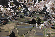 天守閣展望台
