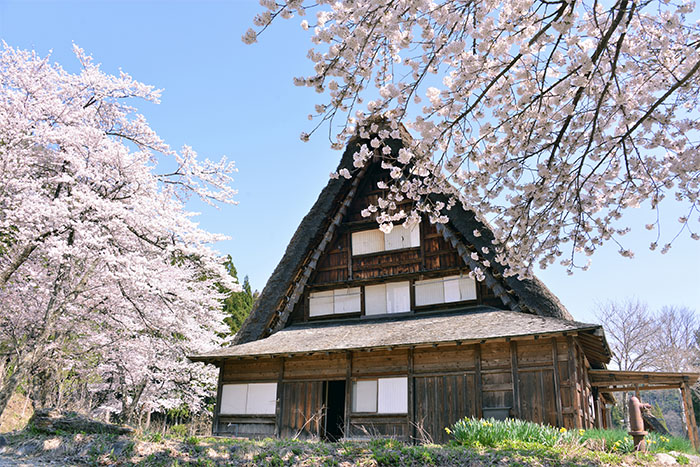 春夏　白川郷
