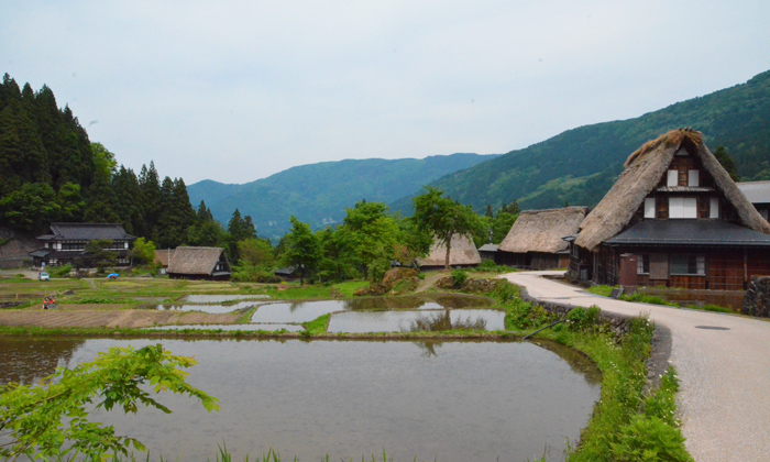 Ainokura Gassho Zukuri Best Photography Spot