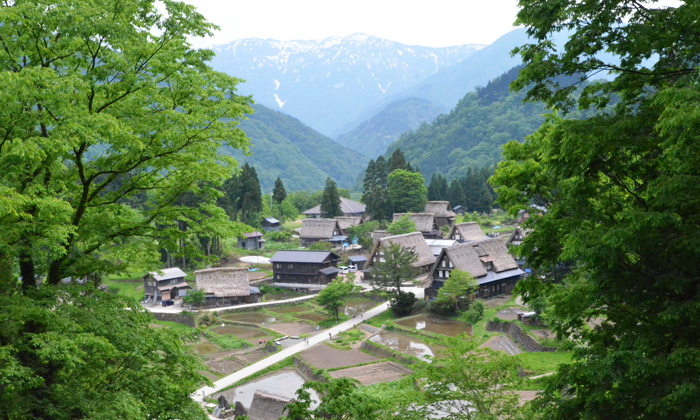 You can zoom out to take a picture with Mt.Hakusan over the village.