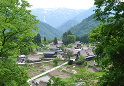 Ainokura Gassho Zukuri